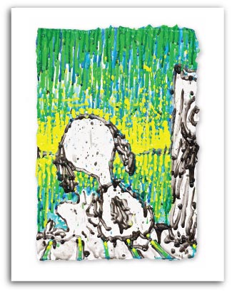 Coconut Couture  by Tom Everhart